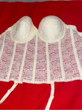 Dominique Ivory Lace Longline Bustier Bra